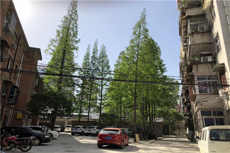 平湖路附近，热电厂西临2室2厅1卫